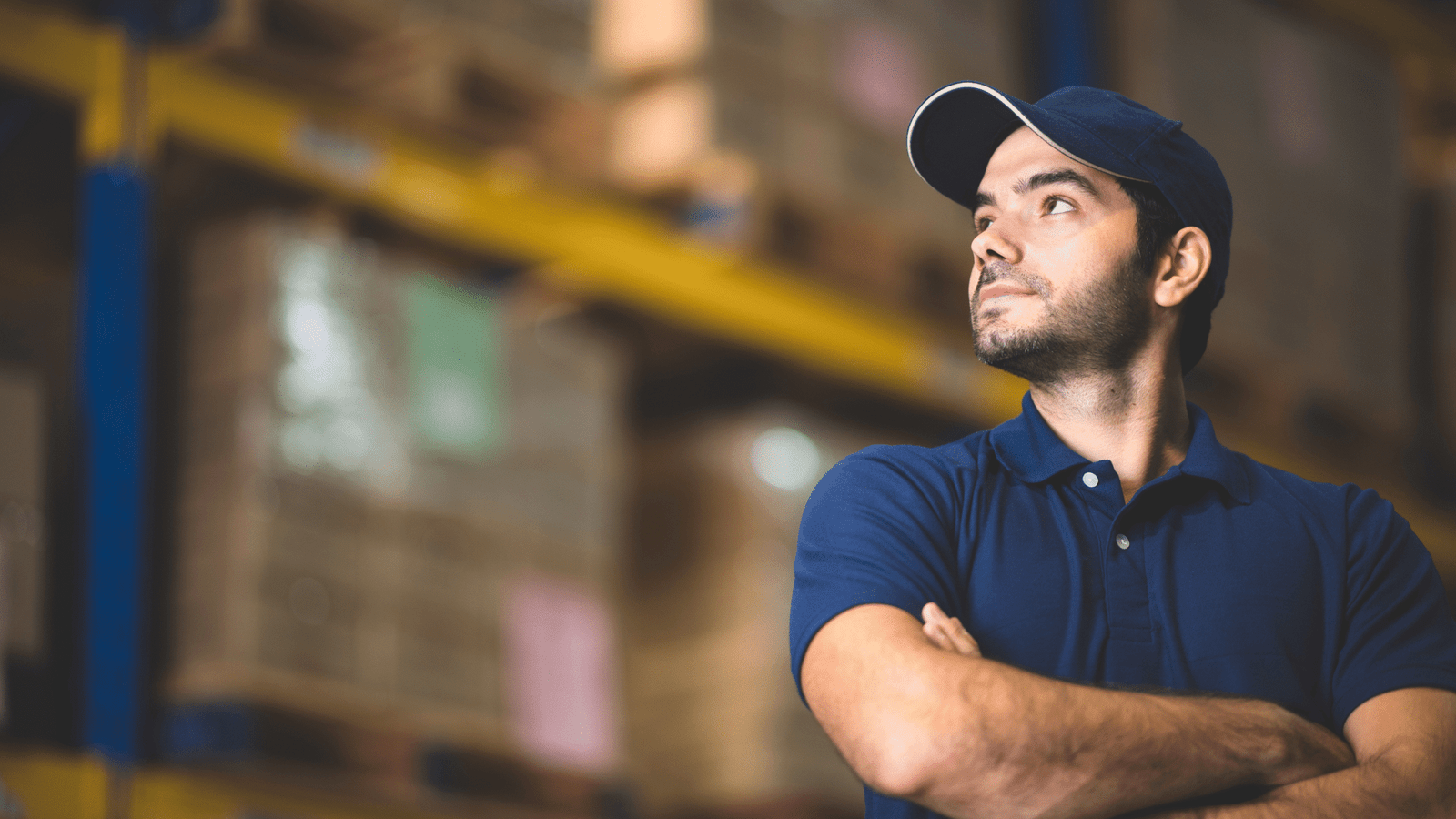 serviço personalizado logística