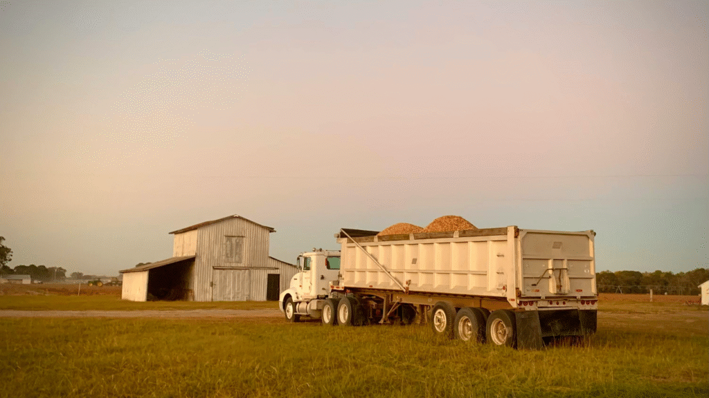 logística agronegócio safra